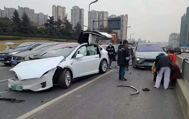 越降越热,越撞越火,韭菜养殖状元特斯拉的致富路