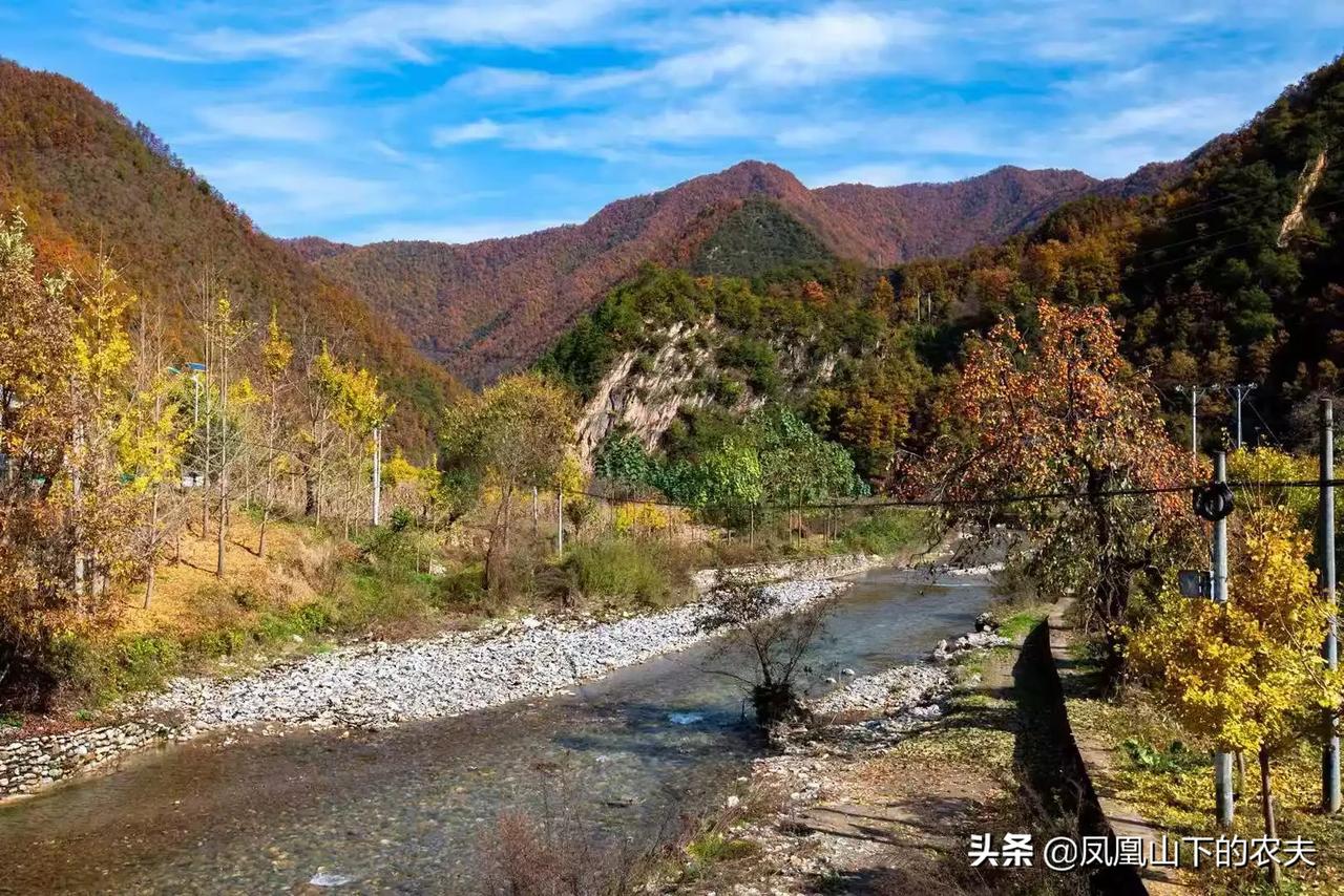 吃喝玩乐在安康 村游金秋十月在安康村里到处绝色美景 走进村里的乡间小路 如同漫游在画中 真是名乎其实大美安康 秋色满山藏不住片片红叶 醉游人黄金粒粒墙上挂条条玉带绕山林