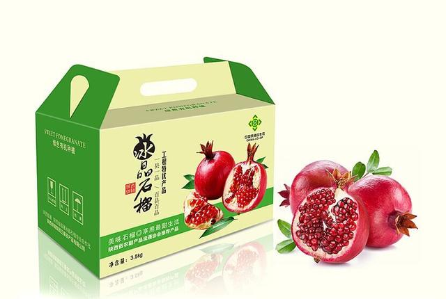 中式特色水果包装设计(图16)