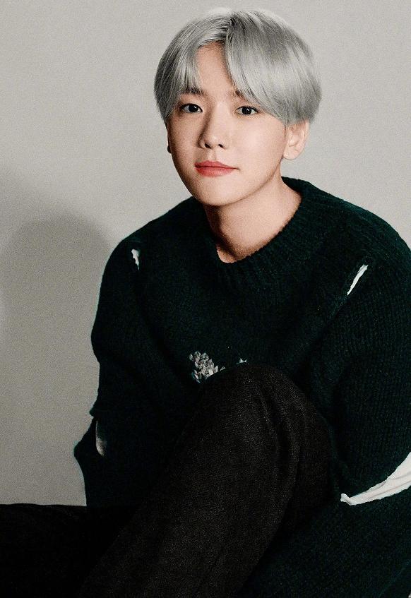 Sm家族演唱会 Exo只来两人 吴世勋 朴灿烈被 弃 天天要闻