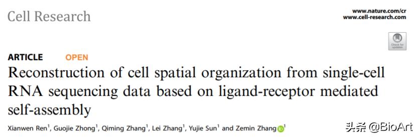 Cell Research 科學家提出預測細胞空間關係全新生物信息方法 每日要聞