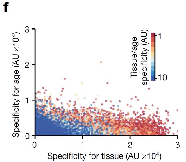 欧易生物,基因芯片,生物芯片,基因测序,高通量测序,二代测序,三代测序,酵母文库,生物信息学,转录组,基因组,蛋白质组,甲基化,代谢组学,蛋白检测单细胞测序,核体系酵母文库构建,基因组de novo测序,蛋白质组定量分析,靶向代谢组学, 2b-RAD简化基因组 ,微生物多样性测序