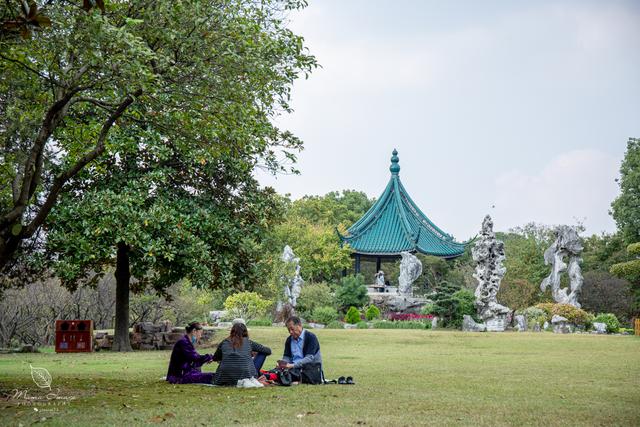 【无锡】百年梅园，无锡人对其有着深厚的情感，万株百合花丛中笑