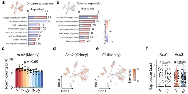 欧易生物,基因芯片,生物芯片,基因测序,高通量测序,二代测序,三代测序,酵母文库,生物信息学,转录组,基因组,蛋白质组,甲基化,代谢组学,蛋白检测单细胞测序,核体系酵母文库构建,基因组de novo测序,蛋白质组定量分析,靶向代谢组学, 2b-RAD简化基因组 ,微生物多样性测序
