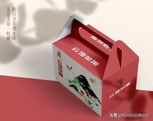 水果礼盒包装 设计分享(图21)