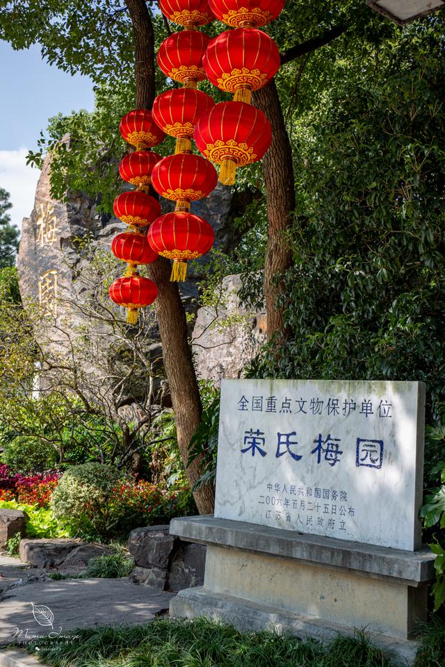 【无锡】百年梅园，无锡人对其有着深厚的情感，万株百合花丛中笑