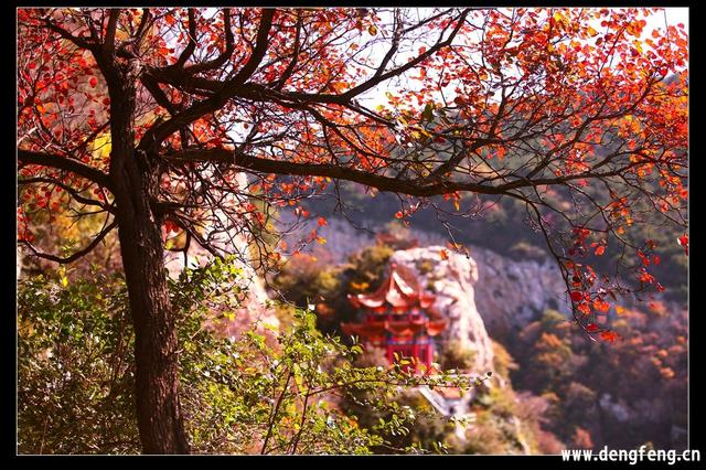中华圣山：卢崖风光甲太室