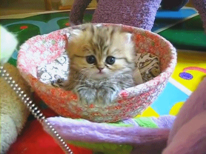 重庆|拄着拐还酒驾，这让人无语的操作……