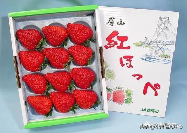 草莓包装大合集，这样的草莓吃不起(图20)