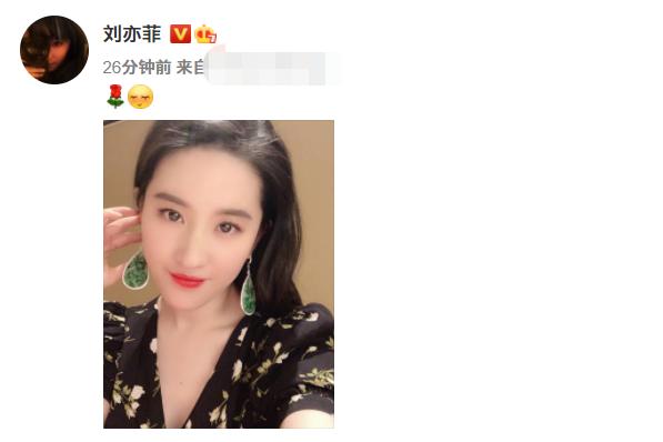 刘亦菲秀名贵翡翠大耳环，却被嘲像玻璃渣，曾戴千万皇冠奢侈依旧