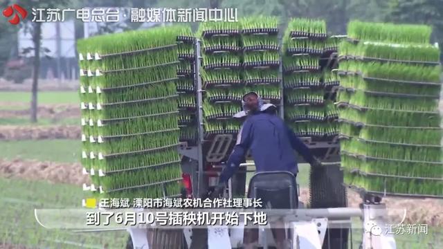 黄金时间■江苏用全国3.8%的耕地养活近6%的人口！秘诀就在于…