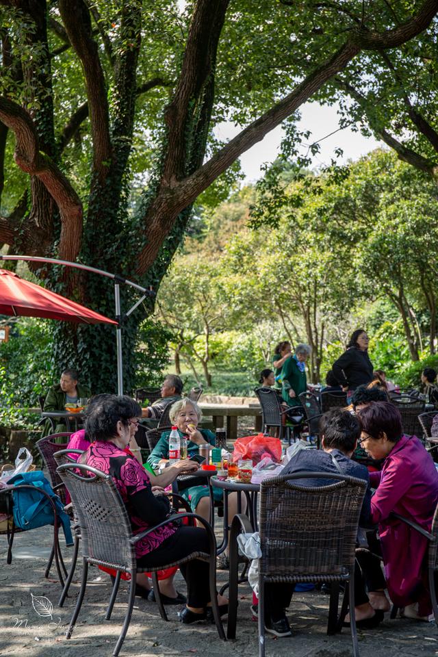 【无锡】百年梅园，无锡人对其有着深厚的情感，万株百合花丛中笑