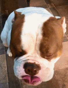 s̹CJADnڦˡAڸӫH]dϤ^