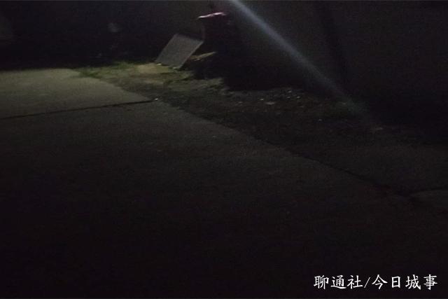 高唐一村庄凌晨3条狗被盗，监控显示从控制到上车只需15秒-聊城头条