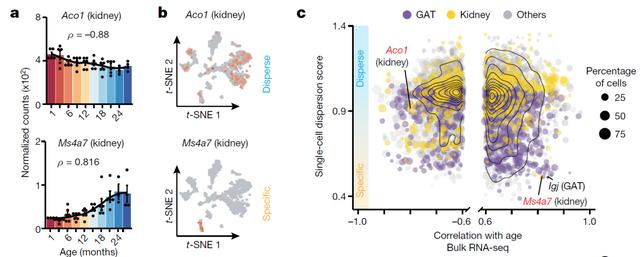 欧易生物,基因芯片,生物芯片,基因测序,高通量测序,二代测序,三代测序,酵母文库,生物信息学,转录组,基因组,蛋白质组,甲基化,代谢组学,蛋白检测单细胞测序,核体系酵母文库构建,基因组de novo测序,蛋白质组定量分析,靶向代谢组学, 2b-RAD简化基因组 ,微生物多样性测序