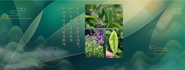 只有中老年人才喝茶？来DIGIX TALK看茶文化如何"攻陷"年轻人