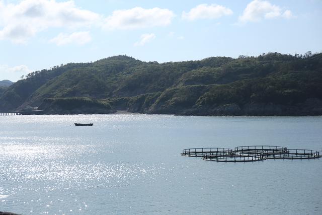 【鹿西岛】浙江一座偏僻小岛，盛产生态大黄鱼，远离城市喧嚣几乎夜不闭户