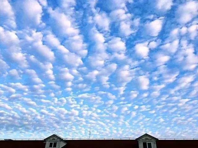 揭秘地震雲 雲層可以預報地震嗎 天天要聞