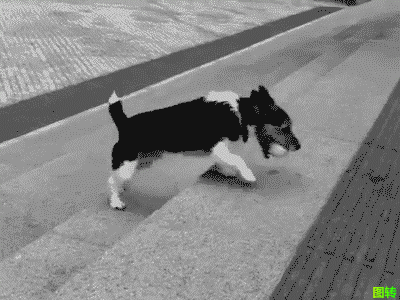 �z���϶��A�p�٤l�A�A���K�۫H�L�F�Y�I