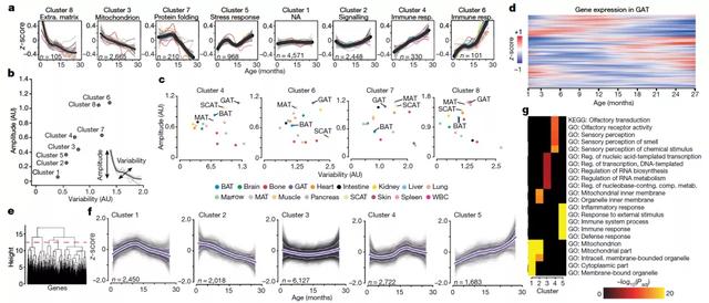 欧易生物,基因芯片,生物芯片,基因测序,高通量测序,二代测序,三代测序,酵母文库,生物信息学,转录组,基因组,蛋白质组,甲基化,代谢组学,蛋白检测单细胞测序,核体系酵母文库构建,基因组de novo测序,蛋白质组定量分析,靶向代谢组学, 2b-RAD简化基因组 ,微生物多样性测序