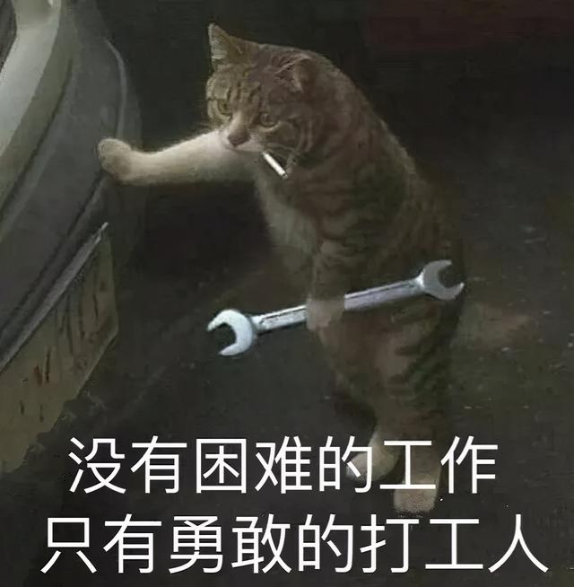 打工人,骨子里就是想好好做个人! 打工人,骨子里就是想好好做个人!