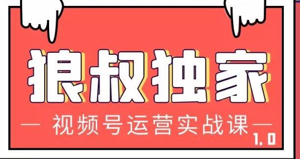 狼叔视频号运营实战课，带你深度入手微信视频号1.0，从0粉丝开始快速涨粉变现