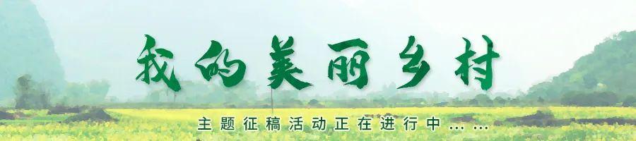 我和我的儿女们