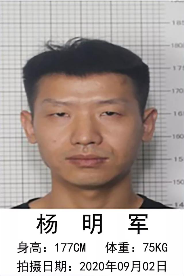 重庆|警方悬赏征集“小兽医”涉黑涉恶团伙违法犯罪线索