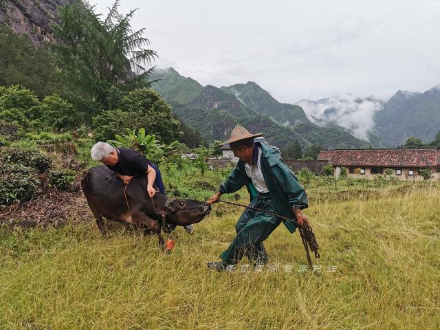 山村古稀老人放牛运垃圾住别墅还有工资拿，幸福生活太羡慕（7）