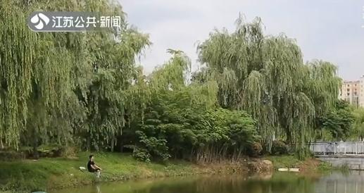 高温■雨雨雨变汗汗汗！未来三天江苏多地高温将突破35℃