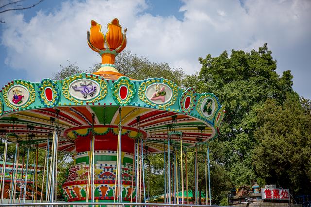 【无锡】百年梅园，无锡人对其有着深厚的情感，万株百合花丛中笑