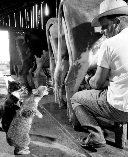 �z���϶��A�p�٤l�A�A���K�۫H�L�F�Y�I