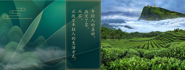 只有中老年人才喝茶？来DIGIX TALK看茶文化如何"攻陷"年轻人