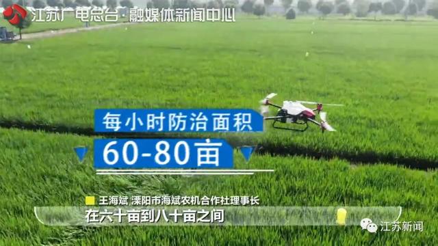 黄金时间■江苏用全国3.8%的耕地养活近6%的人口！秘诀就在于…