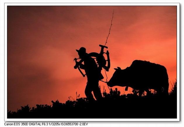 中华圣山：卢崖风光甲太室