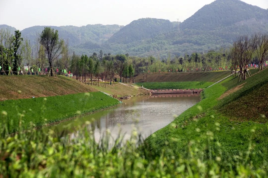 就这么美全新打造的梁滩河生态湿地公园会让你流连忘返