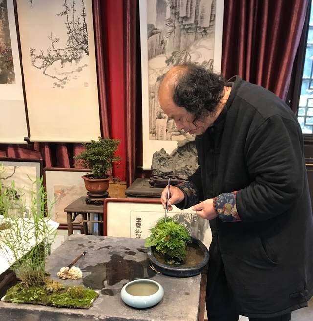 短短600米的泰州老街，装着这座城市的旧时光和老故事