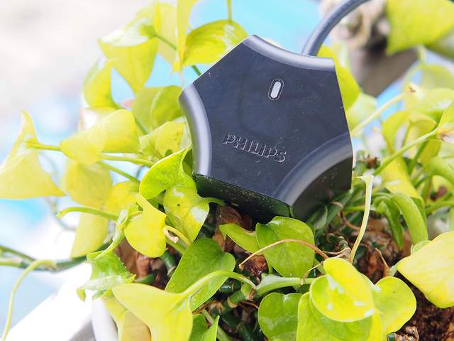 一砖多能不一样的摩天轮不一样的飞利浦