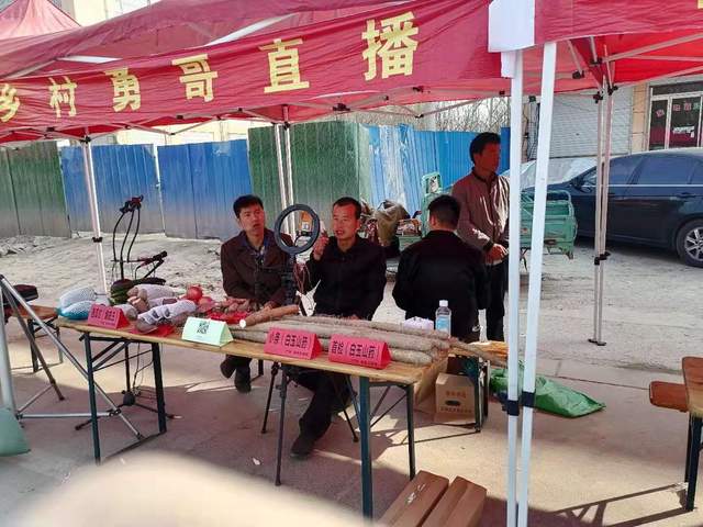 聊城莘县王奉镇白玉山药火啦！成功入选“好品山东 乡村名品”(图4)