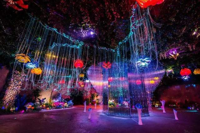 台达Vivitek(丽讯)邀您探索首个洞穴式超媒体梦幻乐园