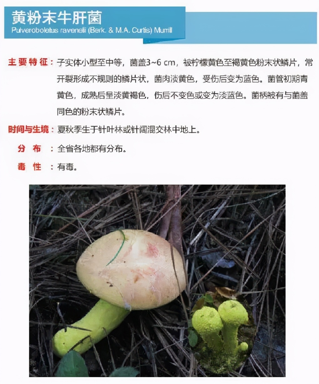 又到暴发季！湘潭人警惕，这东西碰不得（附有奖答题）