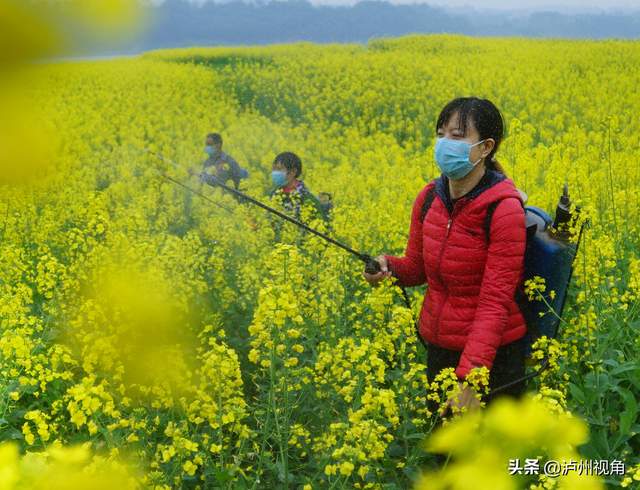 「图说统战」纳溪统战·同心抗疫篇(图26)