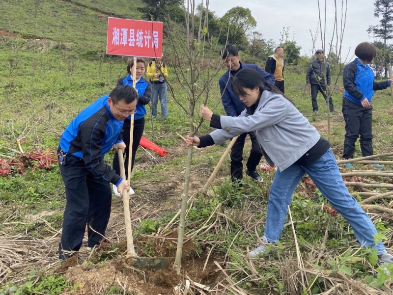湘潭县统计局积极开展义务植树活动