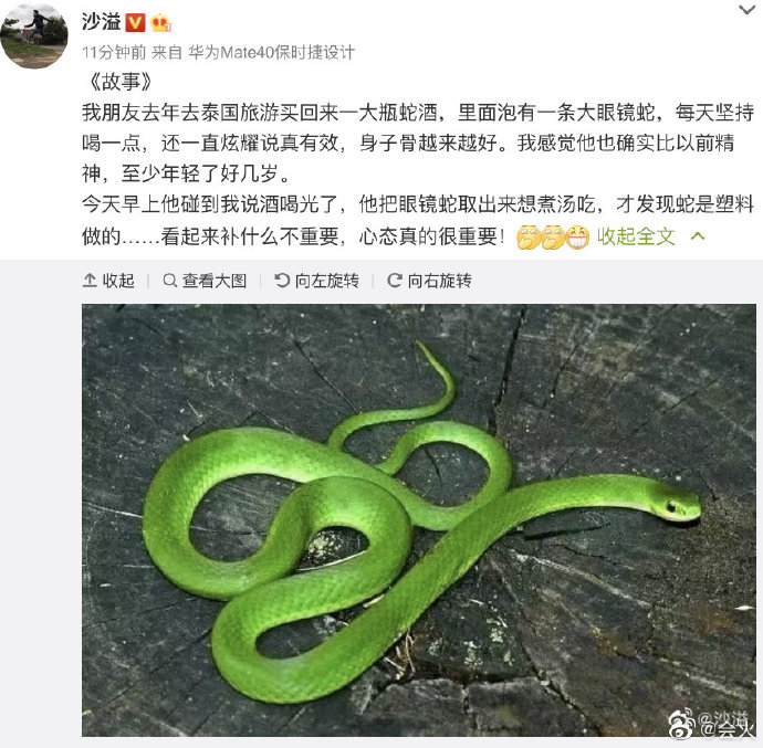 买了|沙溢朋友买了装塑料眼镜蛇的蛇酒 喝喝更健康