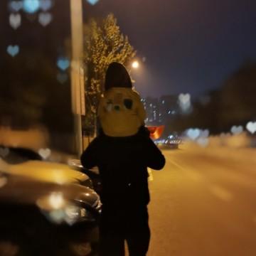 如丶此丶而丶已
