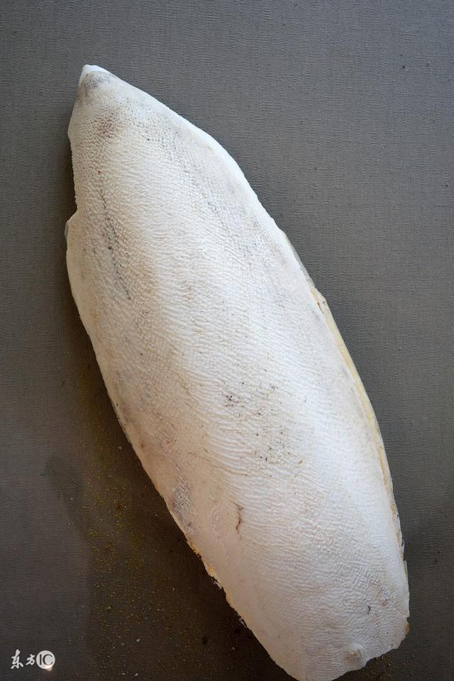 大家知道海螵蛸的功效与作用吗?对我们很有好处_健康症状网