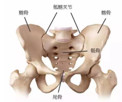 女性骶髂关节炎的症状及缓减治疗方法_健康症状网