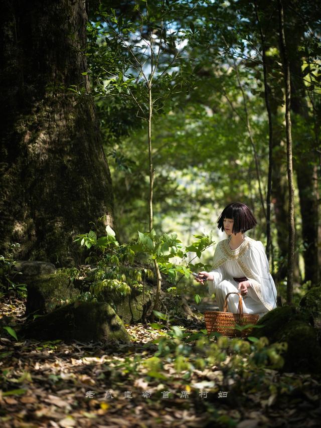 空心村变香饽饽！废瓦野草牛成野宴主角，定制餐千元一位却难求