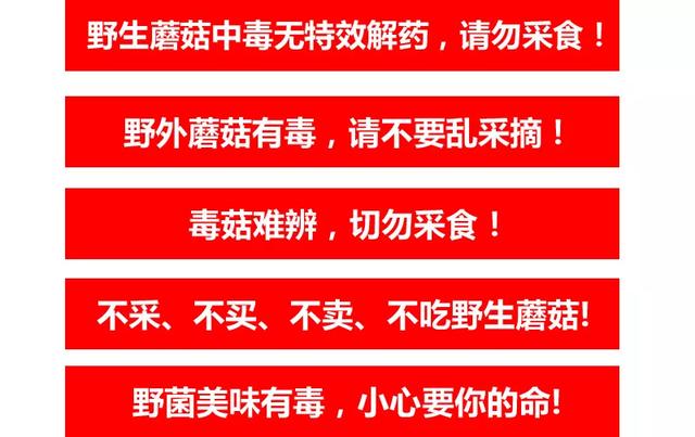 蘑菇|野生蘑菇“尝鲜”需谨慎 中毒防控小知识要了解