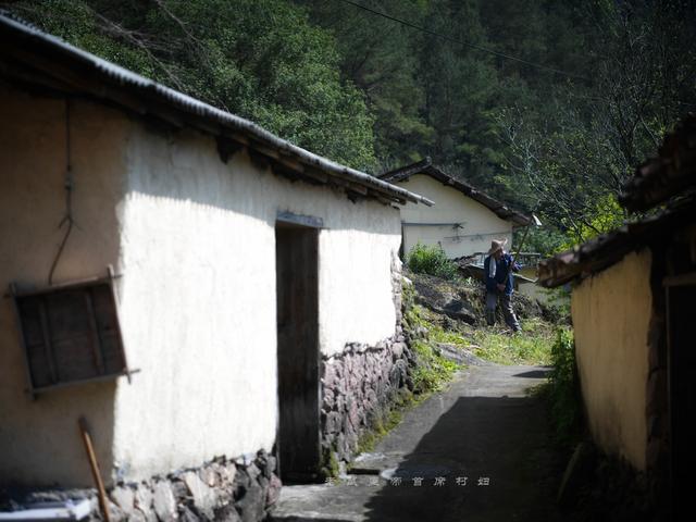 空心村变香饽饽！废瓦野草牛成野宴主角，定制餐千元一位却难求